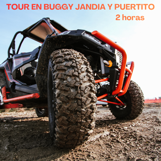 BUGGY SUR DE LA ISLA Buggies con neumáticos robustos en un tour de dos horas en Jandía y Puertito.