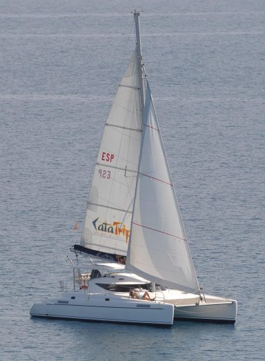 Catamarán-Avistamiento de delfines y mucho más